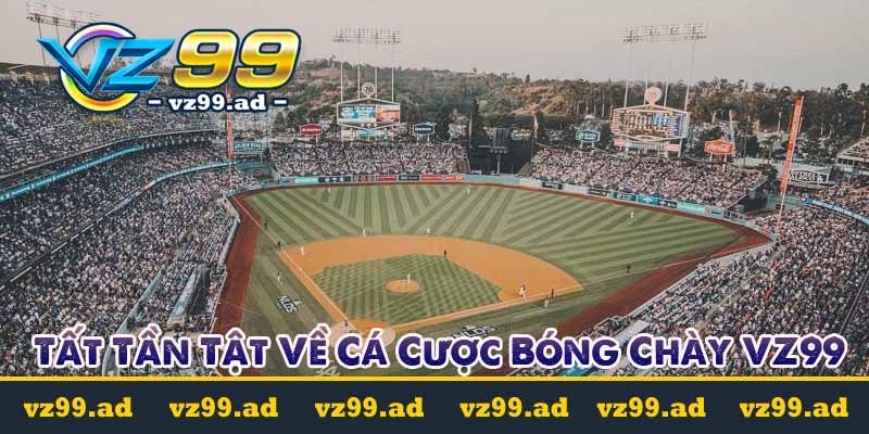 Cá cược bóng chày - Tất Tần Tật Về Cá Cược Bóng Chày VZ99 1 tất tần tật về cá cược bóng chày vz99