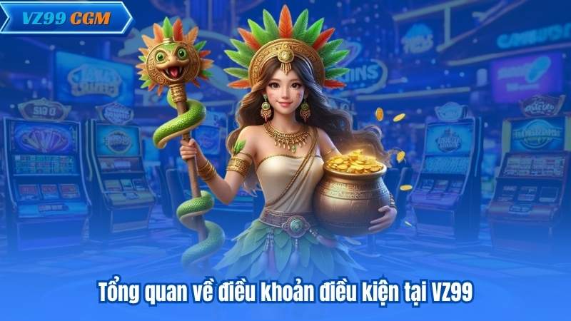 Tổng quan về điều khoản điều kiện tại VZ99